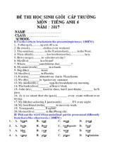 Đề thi chọn học sinh giỏi cấp trường môn Tiếng Anh Lớp 6 năm 2017